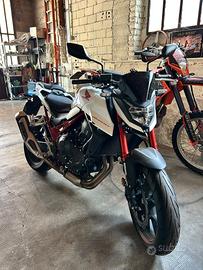 Honda Hornet CB 750 2024