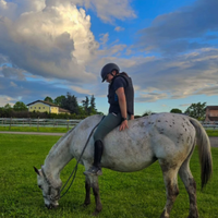 Cavallina Pony del 2012 simil appaloosa