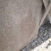 Lastra pietra grezza naturale 