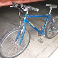 Mountain bike da uomo 