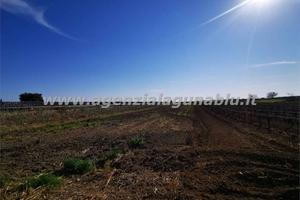 Terreno agricolo 4000 mq zona Birgi
