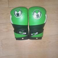 Guantoni Boxe/Muay Thay 