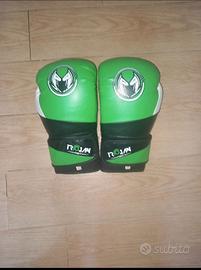 Guantoni Boxe/Muay Thay 