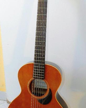 Takamine EG mini