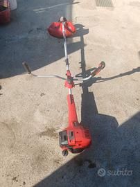 Decespugliatore Einhell leggi descrizione 
