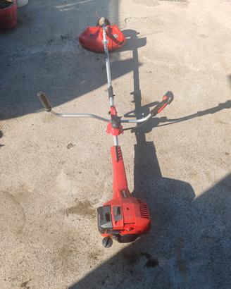 Decespugliatore Einhell leggi descrizione 