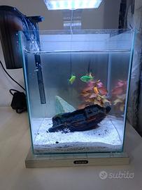 Acquario completo piccolo