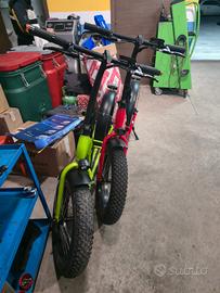 bicicletta elettrica 