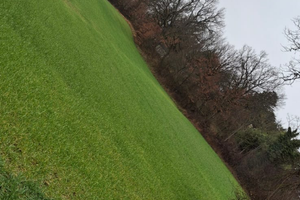 Terreno agricolo Sassoferrato zona Roncioni