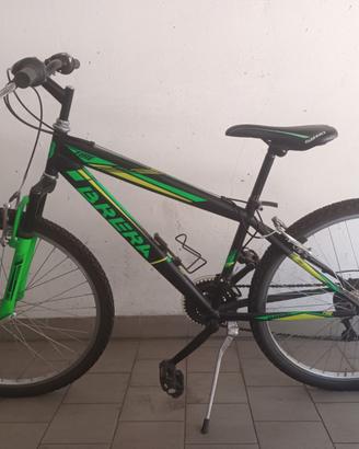 Bicicletta ragazzo MTB Brera Fire 26 pollici