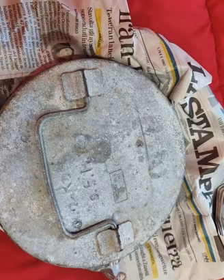 Nazista Allestimento Tassidermico  SHF-18