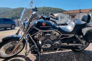 Harley-Davidson VRod - 2010