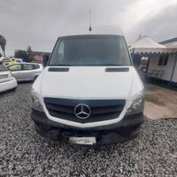 Sprinter mercedes 313