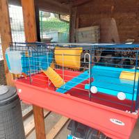 gabbia x coniglio con accessori 