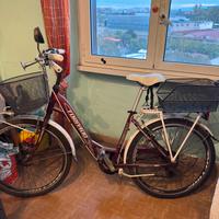 Bicicletta city bike Torpado