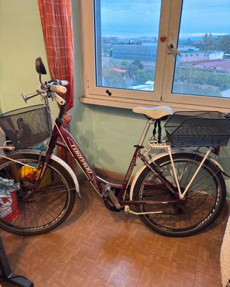 Bicicletta city bike Torpado