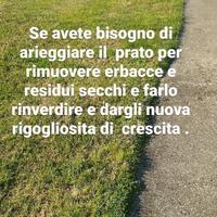 Lavoro Domestico