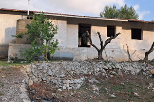 Uliveto con magazino