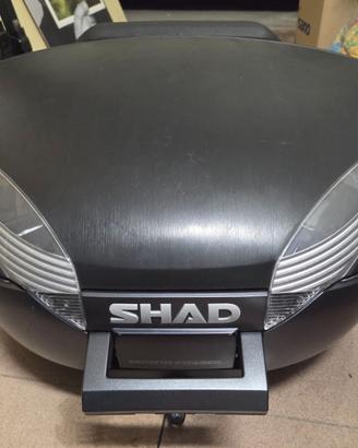 Bauletto shad SH48