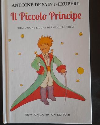 il piccolo principe