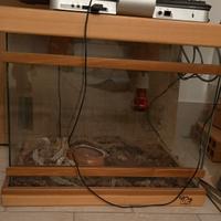 Teca per rettili