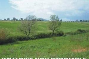 Terreno di 2400 m² a San Giustino