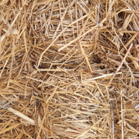 Erba medica e Foraggio