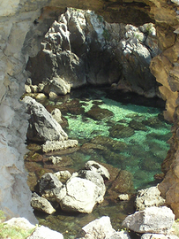 Aiutocuoco /lavapiatti con esperienza