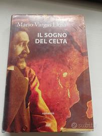 libro il sogno del celta