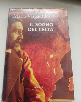 libro il sogno del celta