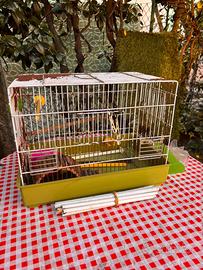 Gabbietta per uccelli