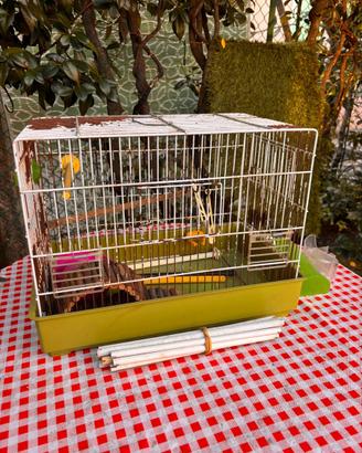 Gabbietta per uccelli