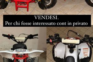 Quad mikro 110