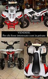 Quad mikro 110