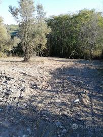 Terreno agr. zona La Reviola/Serbatoio Cappuccini