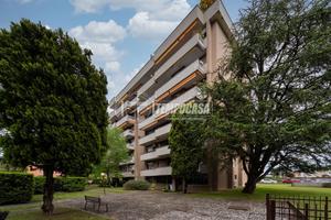 Spazioso 4 locali con ampio box e cantina