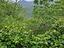 Immagine 26
