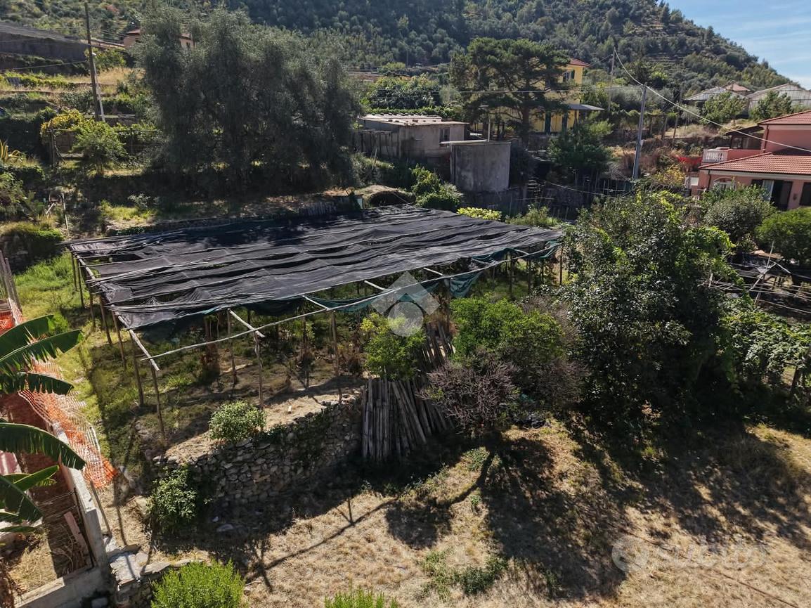 RUSTICO A TAGGIA - Altro