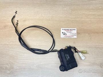 Valvola scarico ZX10R 1000