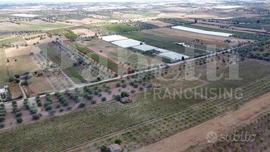 Terreno Agricolo Noto [Cod. rif 3321587VCG]