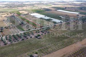 Terreno Agricolo Noto [Cod. rif 3321587VCG]