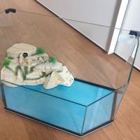 TARTARUGHIERA HEXAGON