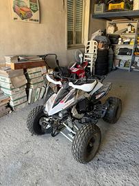 Quad Skyner 125cc 4T