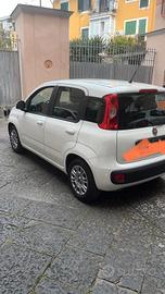 fiat panda gpl 1.2 