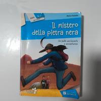 il mistero della pietra nera