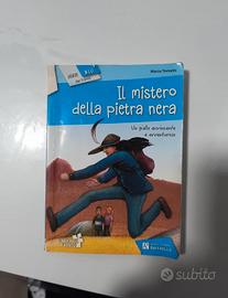 il mistero della pietra nera