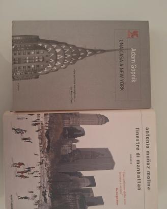 Una casa a New York Gopnik e Finestre di Manhattan
