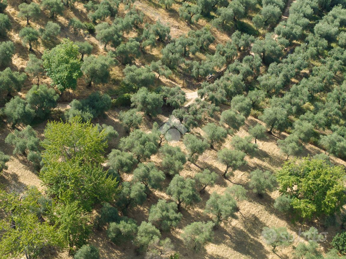 TER. AGRICOLO A SERMONETA - Vista 2