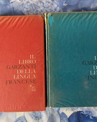 Il Libro Garzanti della Lingua Francese (e Inglese