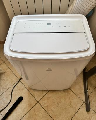 Climatizzatore pinguino electrolux